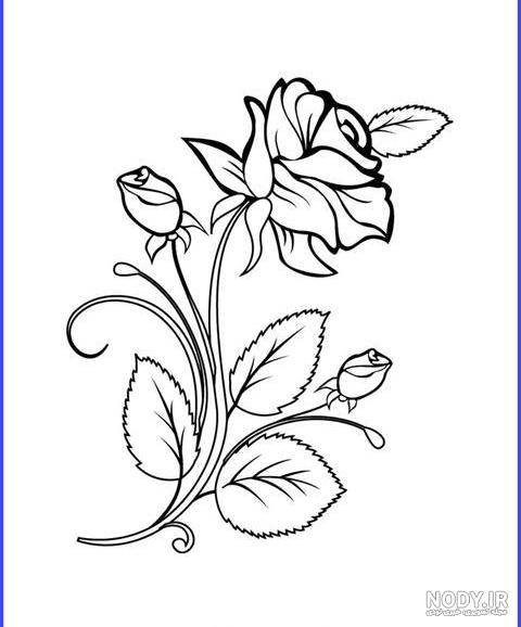 عکس نقاشی یک گل قشنگ