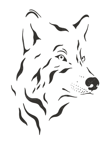 40+ عکس ) اموزش نقاشی گرگ به کودکان 🐺 (مرحله به مرحله + ویدئو) 40+ عکس ) اموزش نقاشی گرگ به کودکان 🐺 (مرحله به مرحله + ویدئو)