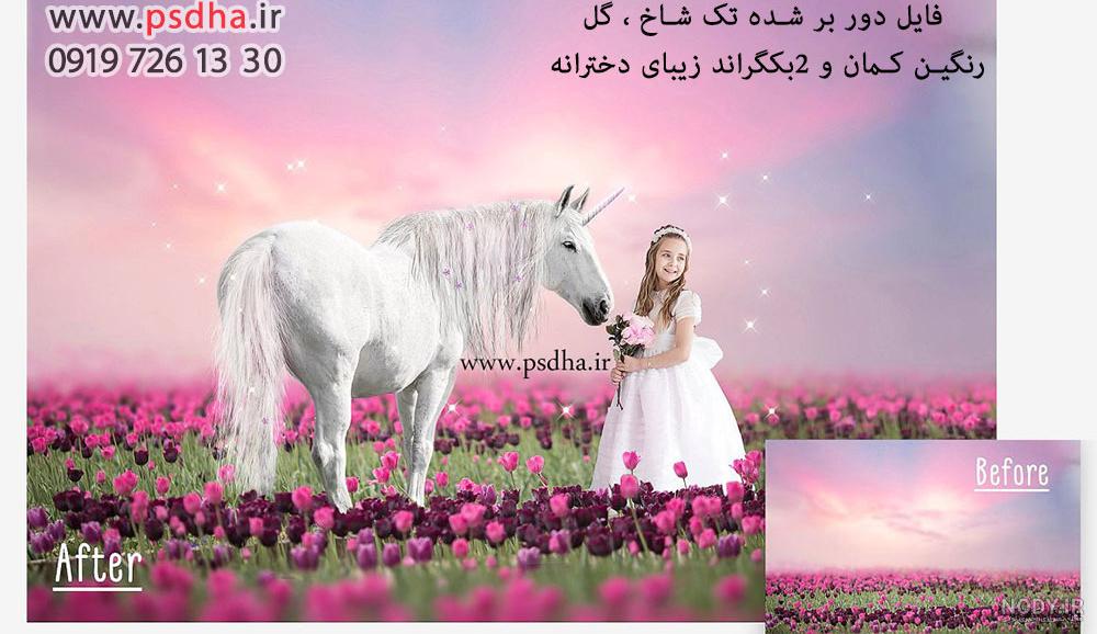 عکس تک شاخ برای بک گراند