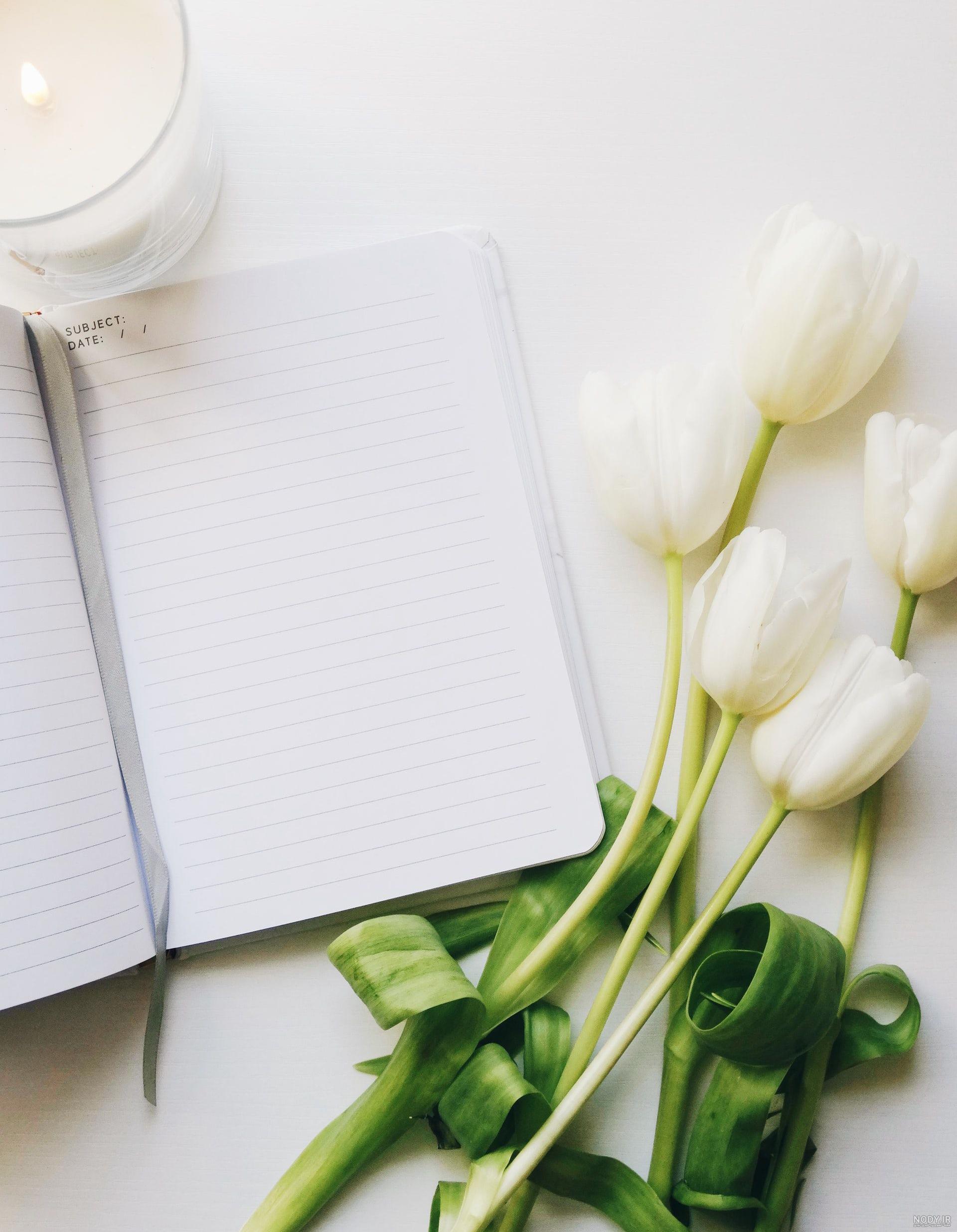عکس خالی برای نوشتن متن زیبا