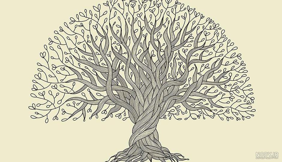 عکس شجره نامه خالی