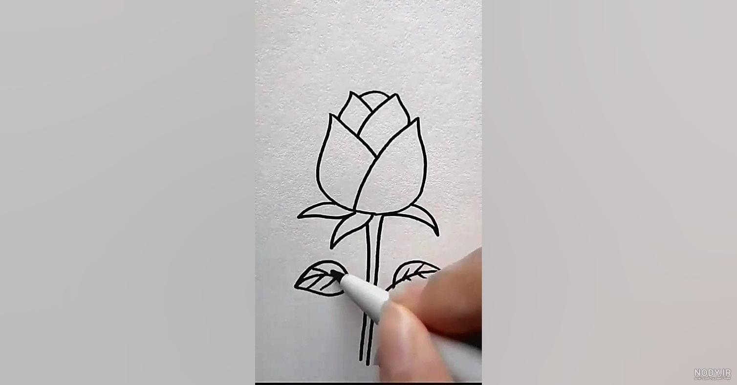 عکس نقاشی گل لاله قرمز