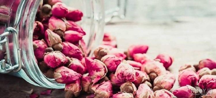 عکس گل محمدی با کیفیت بالا
