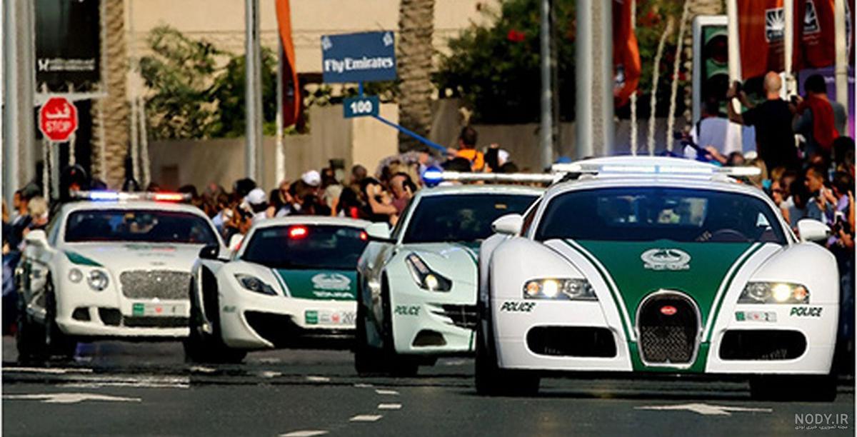نخستین بانوی جنگلبان کردستان