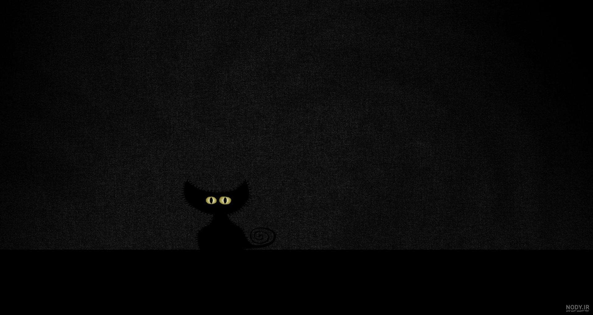 Cat Noir HD Wallpaper - Miraculous Ladybug TV Show