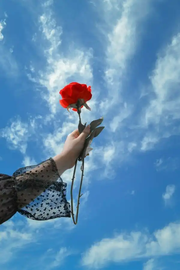 بهترین عکس دخترانه زیبا/ جذاب/ خاص/خوشتیپ ویژه پروفایل [اینستا-واتساپ]