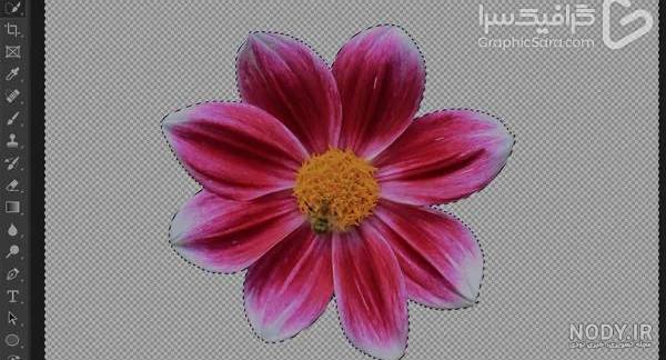 طرح قاب عکس برش لیزری دانلود قاب عکس حرفه ای دانلود فایل پی اس دی حاشیه  کادرعکس
