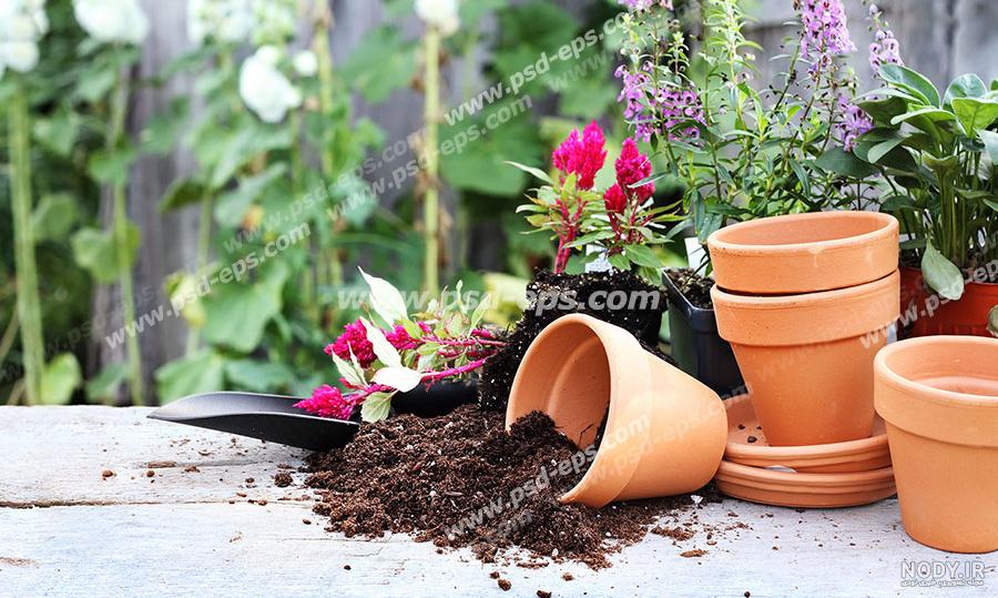 عکس با کیفیت تبلیغاتی نقاشی گلدان شیشه ای زیبا با دو شاخه گل بنفش زیبا -  لایه باز طرح آماده psd - eps