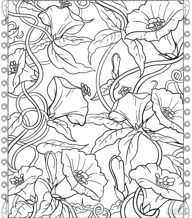 عکس خام برای طراحی پوستر