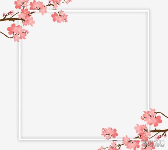 عکس خام گل - عکس نودی