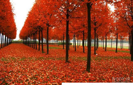 عکس زیبای فصل پاییز