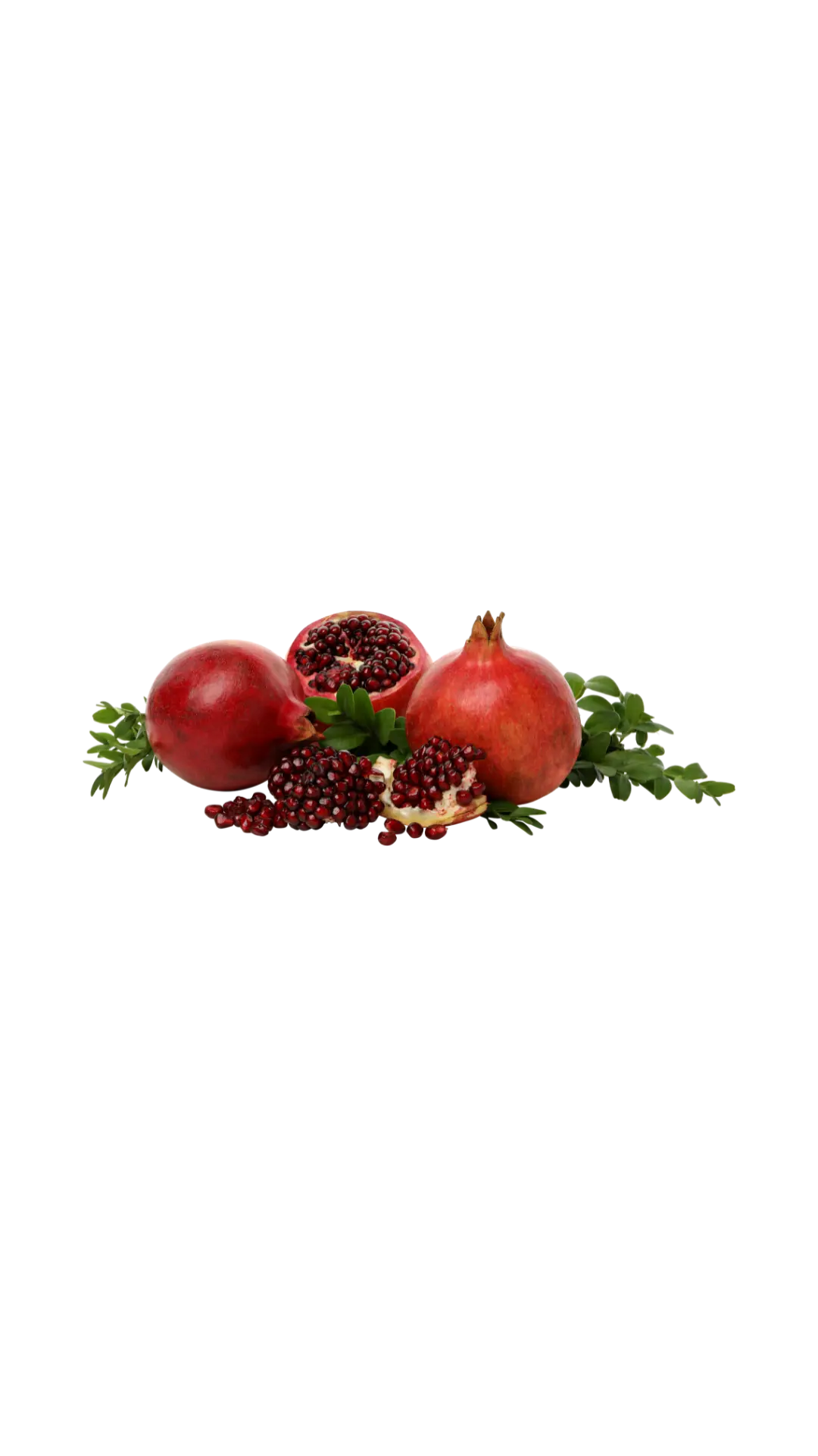عکس png هندوانه شب یلدا کد 20 | آریا لوگو مرجع فایل های لایه باز ❤