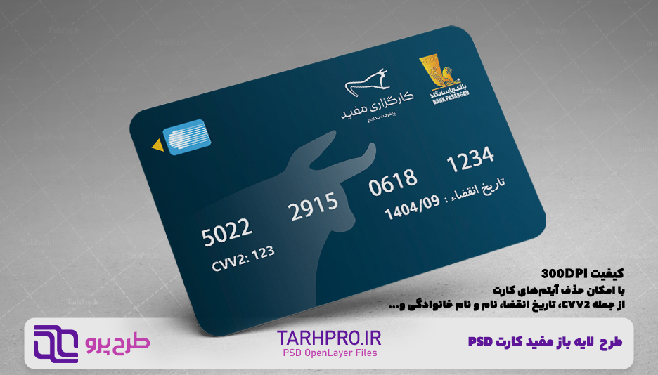 هشدار؛ تصویر پشت کارت ملی را در اختیار کسی قرار ندهید! - خبرآنلاین
