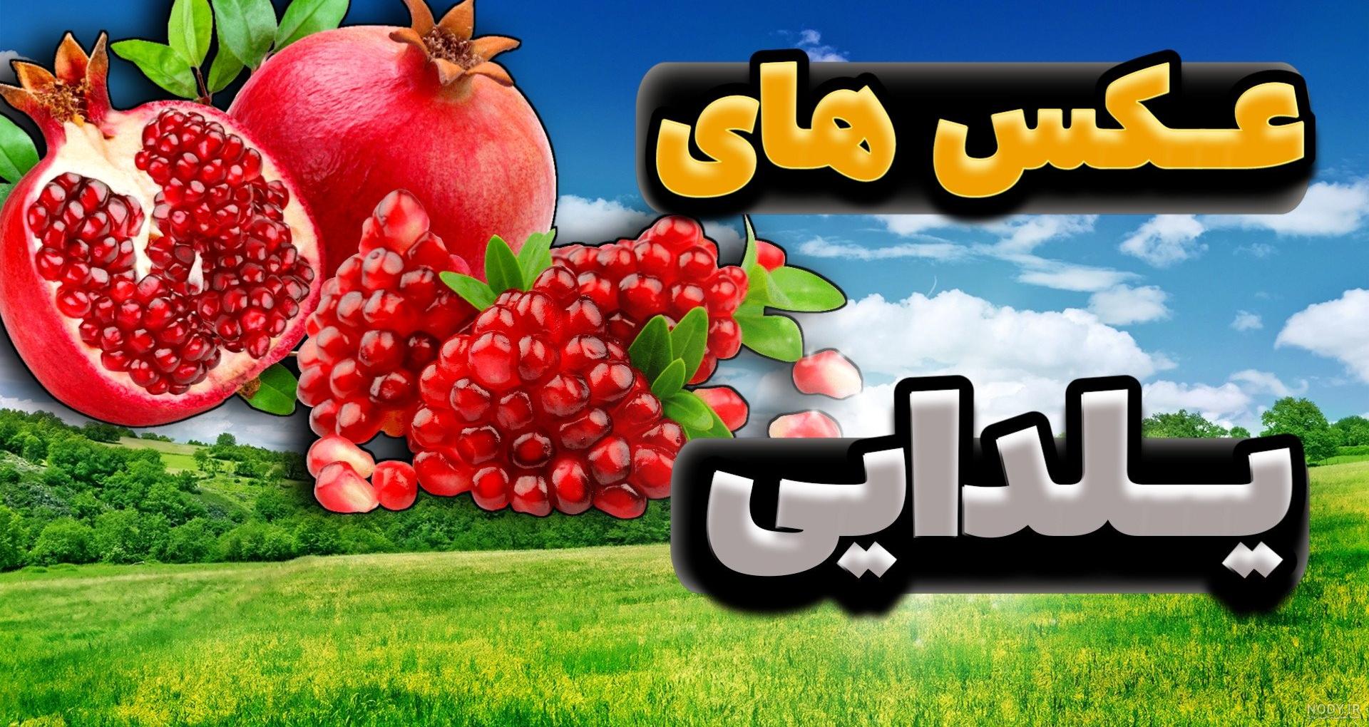 پوستر شب یلدا | بنر شب یلدا | طرح یلدا لایه باز | پاویسا