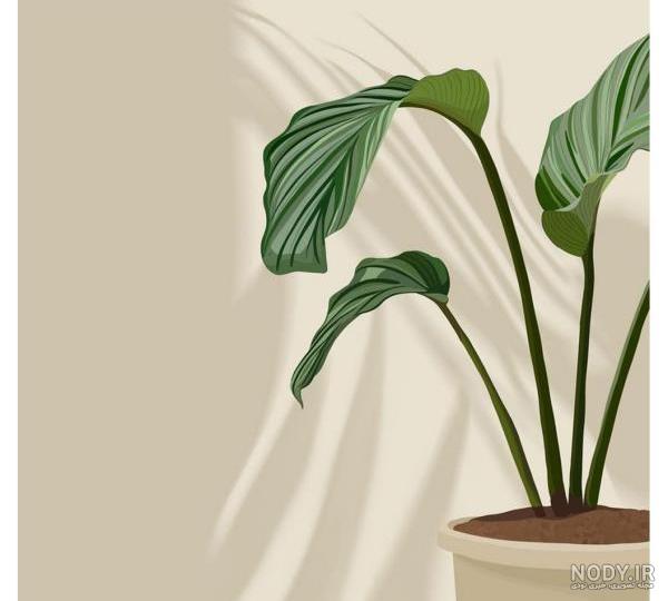 ︎ایده بک گراند گوشی ︎ - تستچی