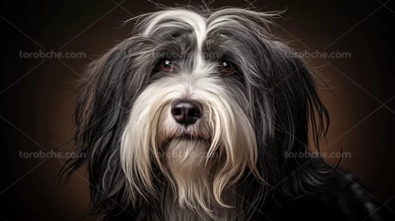 توله سگ سیاه و سفید توسط OffiDocs برای دفتر