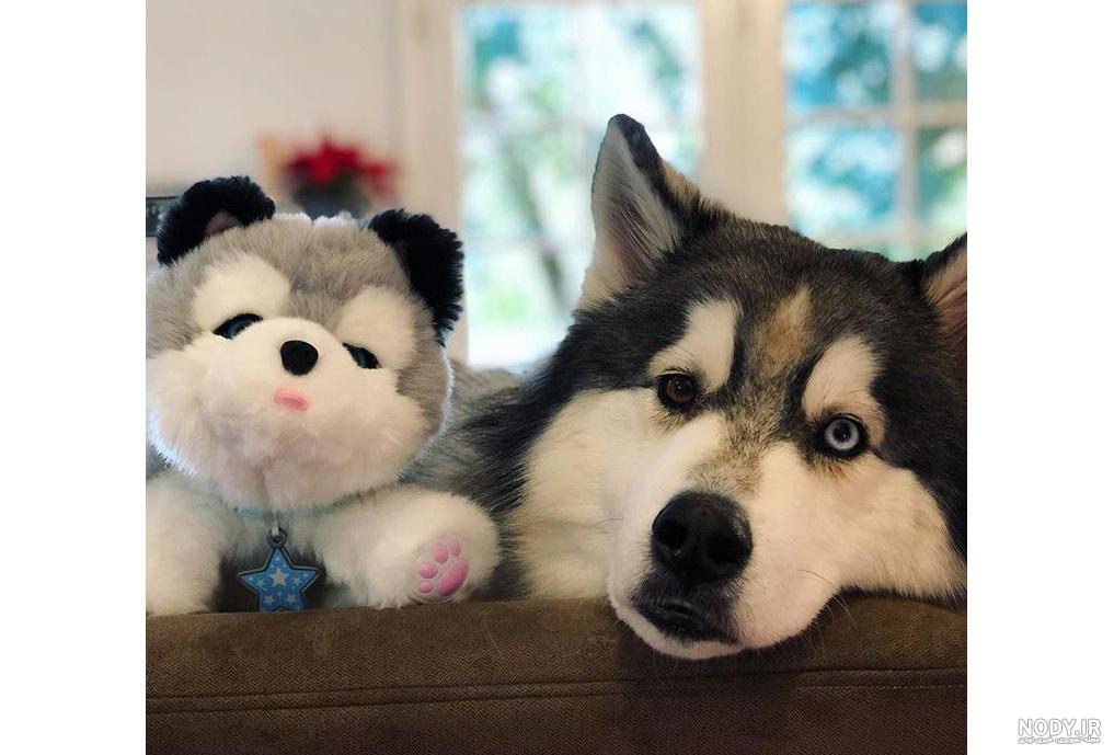 خرید اسباب بازی سگ رباتیک پشمالو snuggles