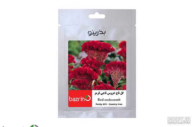 رنگ های تاج مرغ و خروس || دام و پت رنگ های تاج مرغ و خروس || دام و پت
