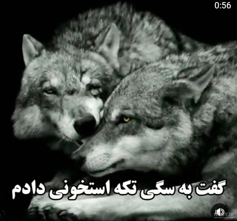 استوری و عکس پروفایل فلسفی و زیبا + عکس نوشته با معنا برای پروفایل ...