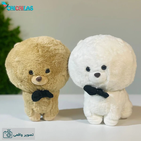 توله سگ (پاپی) - فروشگاه هاپ هاپ پت | فروش سگ گربه | حیوانات خانگی ...