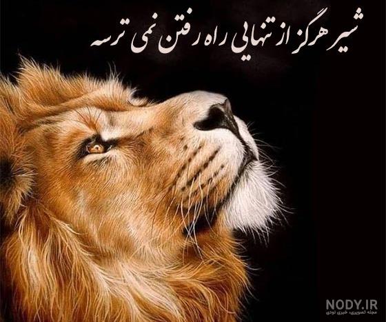 سگها نجس نیستند