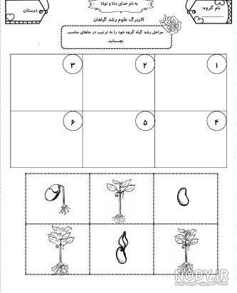علوم اول دبستان _ مراحل کاشت لوبیا _ زهرا بنافی