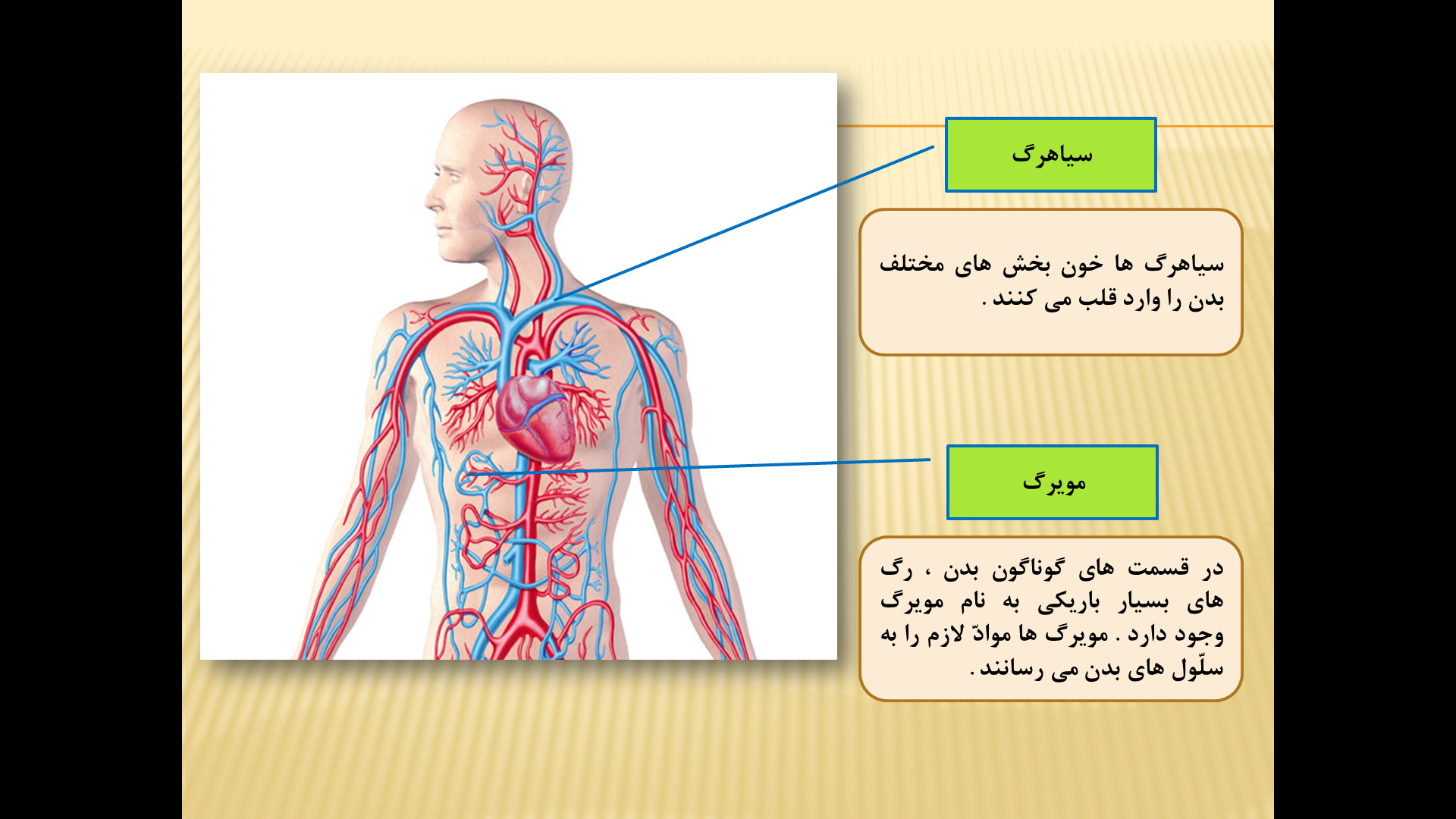 عکس علوم کلاس چهارم