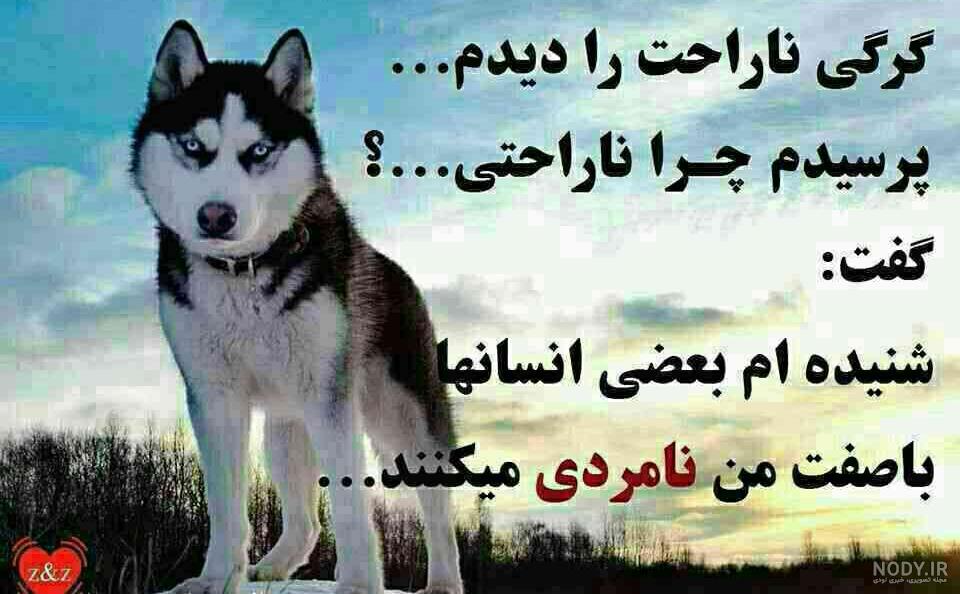 عکس نوشته ادم سگ صفت - عکس نودی