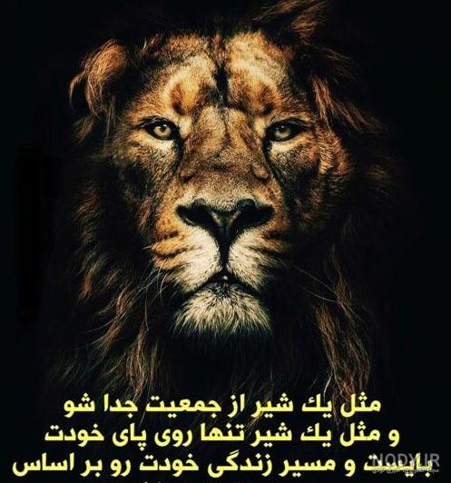 عکس نوشته سگ صفتی - تــــــــوپ تـــــــــاپ