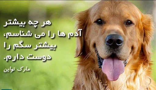 عکس نوشته گربه صفت بودن + متن :: استیکر نام ها