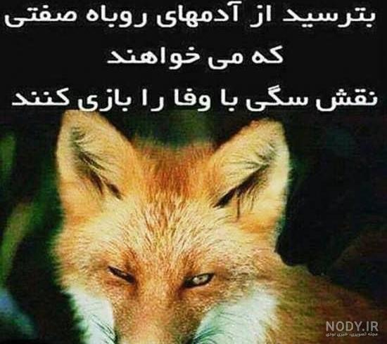 عکس پروفایل سگ صفت