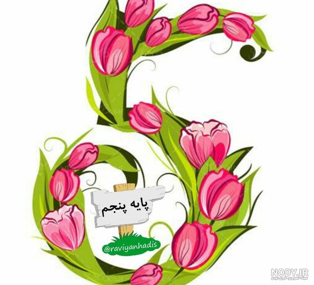عکس گروه کلاس پنجم - عکس نودی