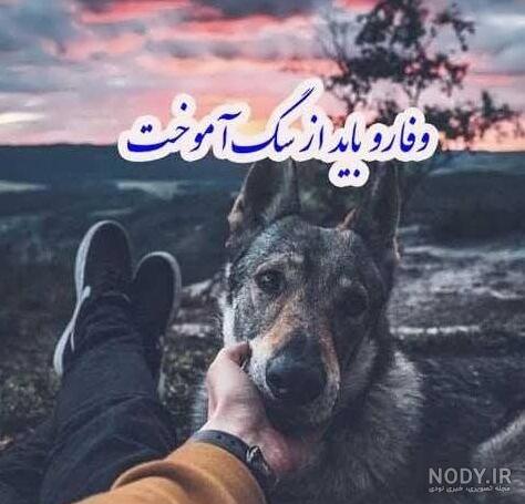 متن های زیبا و سنگین در مورد گرگ