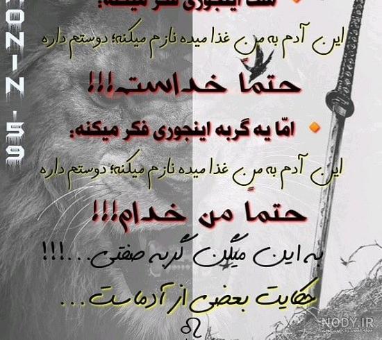 متن زیبا در مورد سگ؛ جملات کپشن و سنگین درباره حیوان سگ