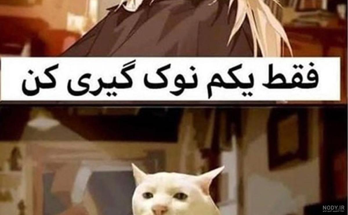 واکنش سگ ها به برش کیک واکنش سگ ها به برش کیک