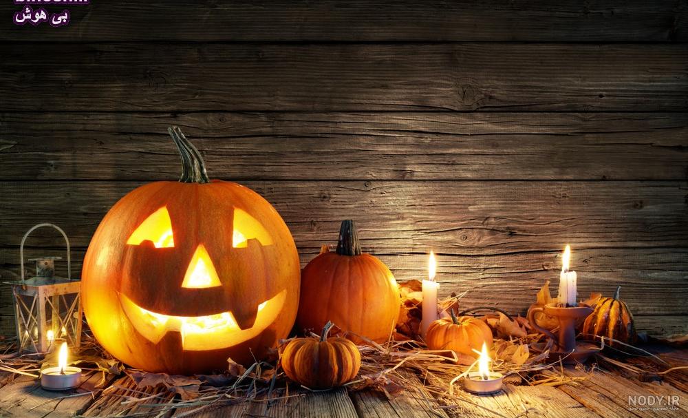 وقتشه خونه رو ترسناک و هیجان‌انگیز کنیم! ایده خلاقانه هالووین 🎃👻 -  فروشگاه اینترنتی 70کالا با تخفیفهای هیجان انگیز