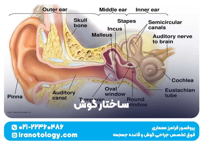 گام به گام درس 6 علوم پنجم دبستان [پاسخ کامل] + Pdf کتاب | سافت کتاب