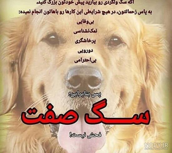 گرگ و سگ صفت