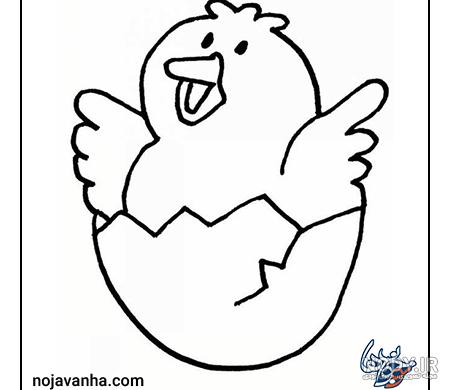 عکس جوجه کلاس اولی