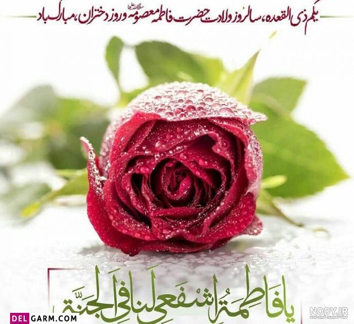 عکس استوری تبریک روز دختر و ولادت حضرت معصومه با اس ام اس و پیام زیبا 1401  حرف تازه