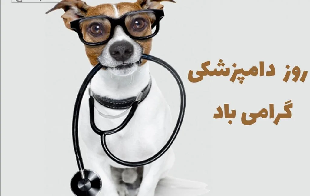 20 متن رسمی و ادبی تبریک روز دامپزشک