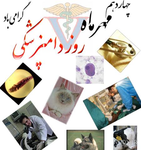 طرح بنر و پوستر روز دامپزشک - ایران طرح