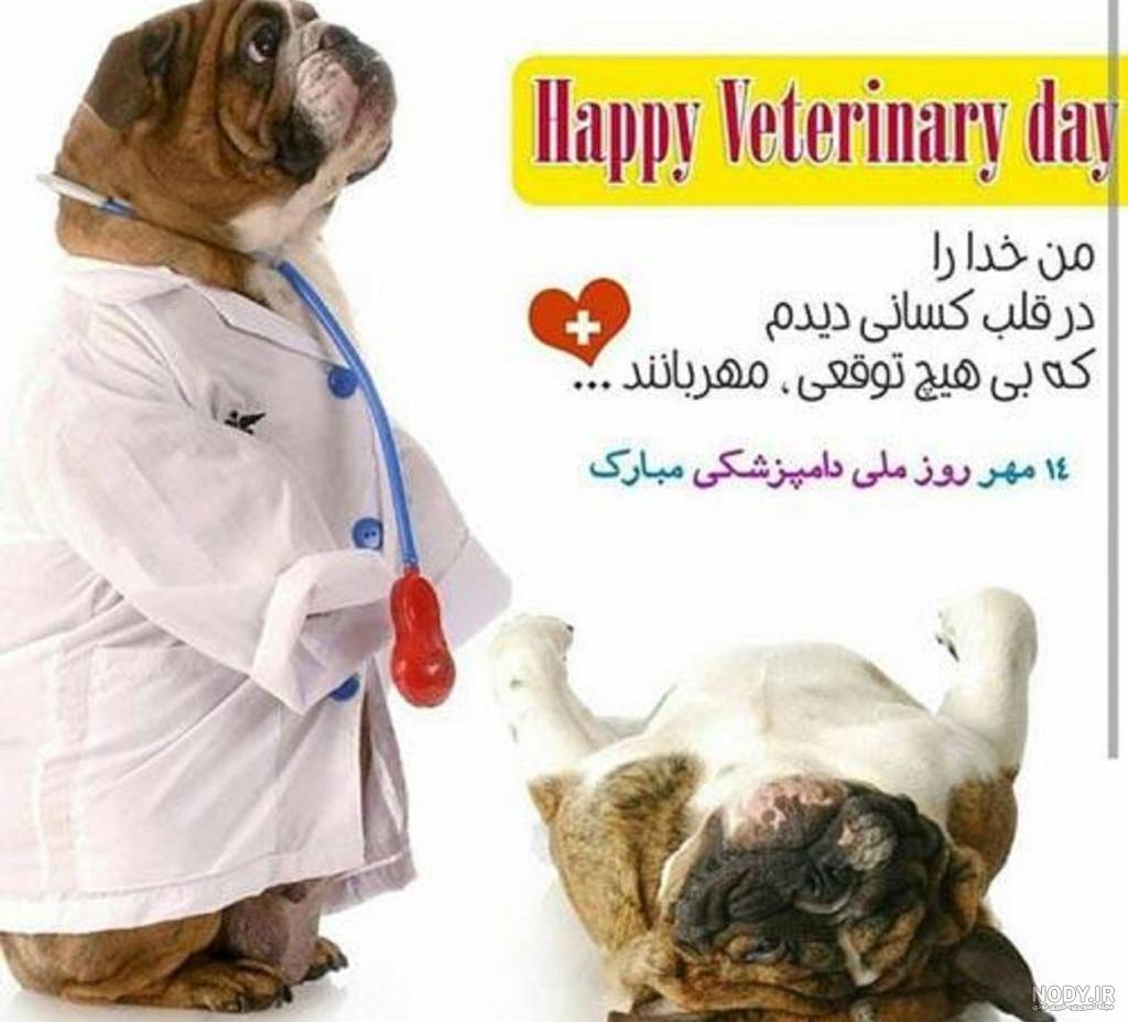 متن تبریک روز دامپزشک به پسرم و دخترم کوتاه و زیبا + عکس نوشته برای استوری