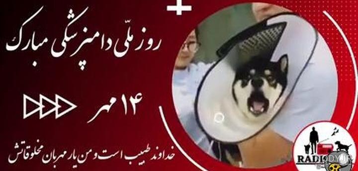 متن تبریک روز دامپزشکی ۱۴۰۰ ❤️+ عکس نوشته روز دامپزشک 2021 - ماگرتا