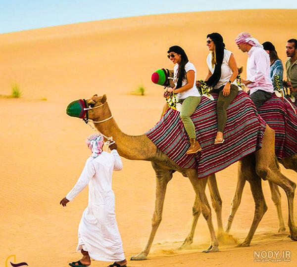سافاری دبی از معرفی تا خرید بلیط تور سافاری 2025 سافاری دبی از معرفی تا خرید بلیط تور سافاری 2025