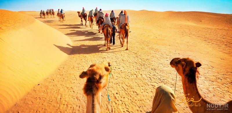 سافاری دبی قیمت تفریحات و راهنمای تور کویر دبی سافاری دبی قیمت تفریحات و راهنمای تور کویر دبی