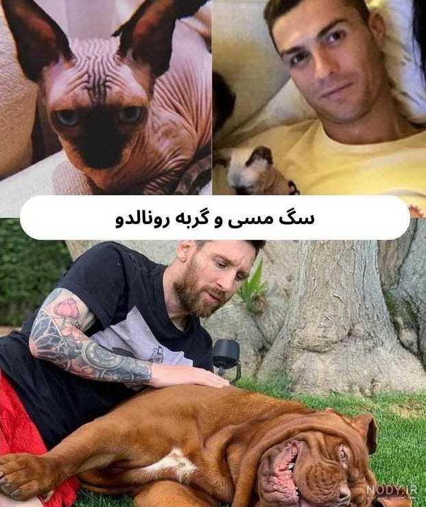 فرارو | (عکس) نژاد خاص سگ خانواده رونالدو سوژه شد