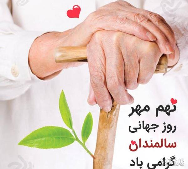 نوشته خطاطی شده روز جهانی سالمندان گرامی باد png | بُرچین – تصاویر دوربری  شده، فایل های آماده، عکس png رایگان، دانلود psd رایگان