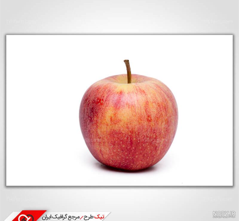 نقاشی سیب برای کودکان؛ جذاب‌ترین و زیباترین طرح‌ها برای رنگ آمیزی - ستاره