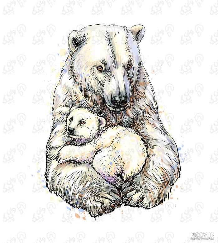 نقاشی صورت خرس وحشی